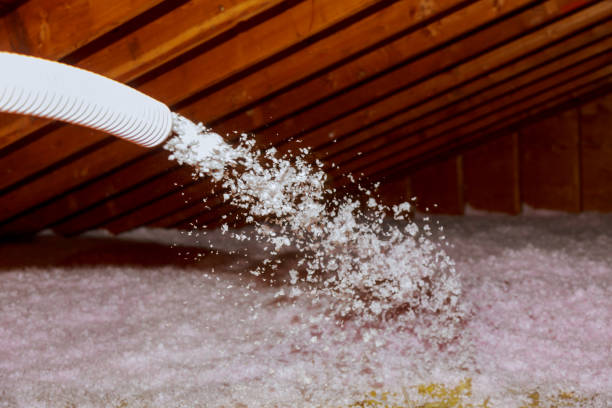 Best Insulation Maintenance and Repair in Texkana, AR