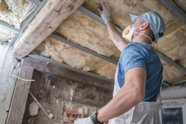 Best Residential Insulation in Texkana, AR