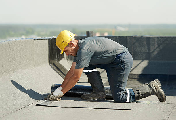 Best Specialized Insulation Services in Texkana, AR